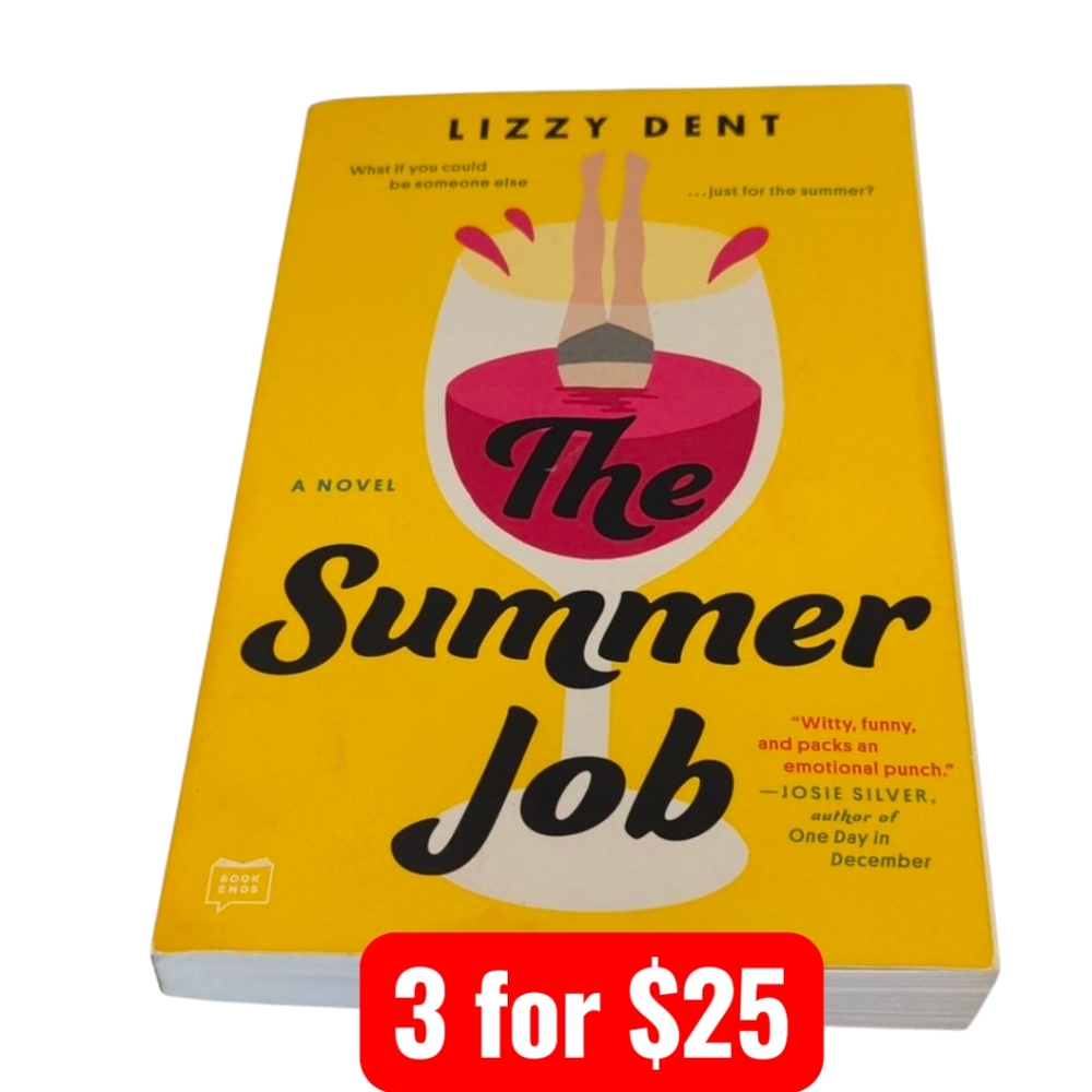 A Novel: The Summer Job by Lizzy Dent Paperback